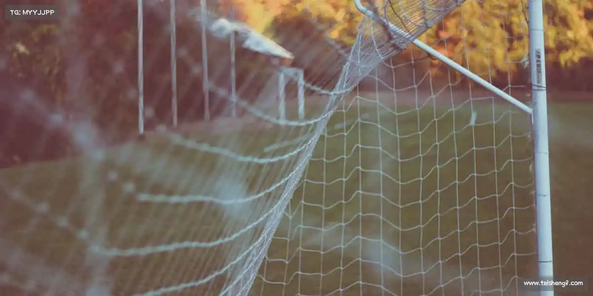 <strong>大满贯</strong>为热爱上场，每一秒都闪着光！🌟⚽️